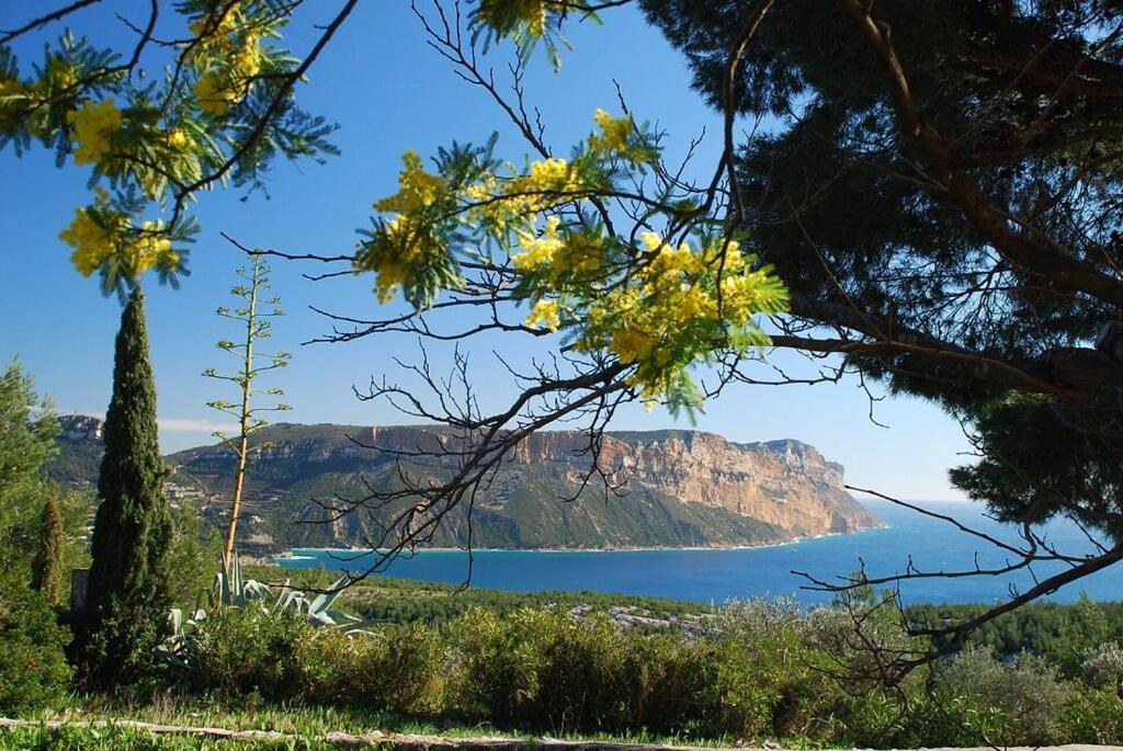 Belle Vue Mer * Cassis